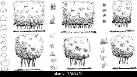 Baum-, Gartenhecke skizzenhaft abgerundete und rechteckige Form. Sträucher für Garten- oder Park-Illustration Tintenstift gezeichnet. Sträucher und Baumkastenbau als Boxwo Stock Vektor