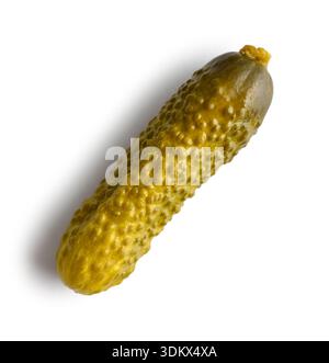 Ganze Gurke (eingelegte Gurke) isoliert auf weißem Hintergrund, Draufsicht. Stockfoto