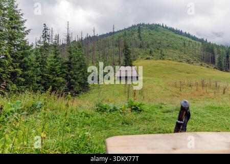 Traditionelle hölzerne Berghütte auf einer grünen Wiese, umgeben von nebeligen Kiefernwäldern und Tatra-Bergen. Stockfoto