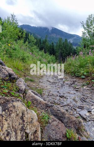 Ein nasser, felsiger Wanderweg, der in ein üppiges grünes Tal mit immergrünen Bäumen und nebelbedeckten Berggipfeln in der Ferne hinabführt. Stockfoto