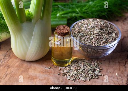 Eine Flasche Fenchel ätherisches Öl Fenchel mit frischen grünen Zweigen und Fenchelsamen im Hintergrund Stockfoto