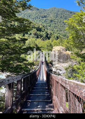 Lange Hängebrücke, die durch üppige grüne Wälder im Queulat National Park, Chile, umgeben von dichter Vegetation und unberührter Wildnis, führt. Stockfoto