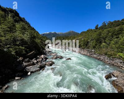 Ein lebhafter hellblauer Fluss fließt durch den alten patagonischen Wald unter einem klaren blauen Himmel und schafft einen auffälligen Kontrast zur üppigen grünen Vegetation Stockfoto