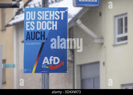 Landtagswahl 2026 in Baden-Württemberg. Wahlplakat der AFD. Drackenstein, Baden-Württemberg, Deutschland Stockfoto