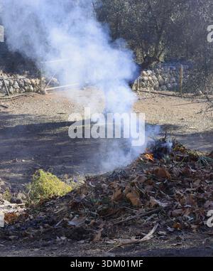 Gartenreinigung trockener Blätter, Kräuter am Lagerfeuer auf Mallorca Stockfoto
