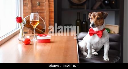 Jack Russel Terrier mit Fliegenband-Restaurant am Valentinstag Stockfoto