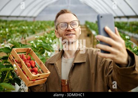 Kaukasischer junger Erwachsener, der Selfie nimmt, während er Erdbeeren im Gewächshaus hält Stockfoto