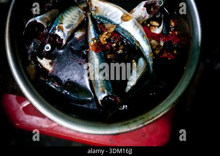 Frischer Fisch mariniert mit Chili, Knoblauch und Gewürzen in einer Metallschale, zubereitet für traditionelle vietnamesische Hausmannskost Stockfoto