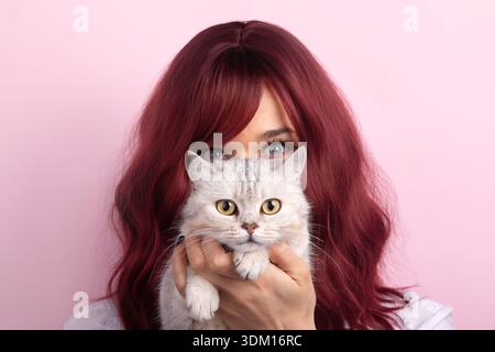 Porträt einer Frau mit rotem Haar, die eine britische Kurzhaarkatze vor ihrem Gesicht vor einem rosa Hintergrund hält. Hell, verspielt und für pe geeignet Stockfoto