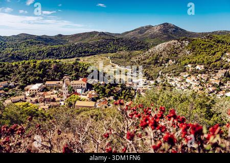 Blick auf ein bezauberndes Dorf, eingebettet in sanfte Hügel, bedeckt mit üppigem Grün, mit roten Blumen im Vordergrund, die einen lebendigen Farbtupfer verleihen, Stockfoto