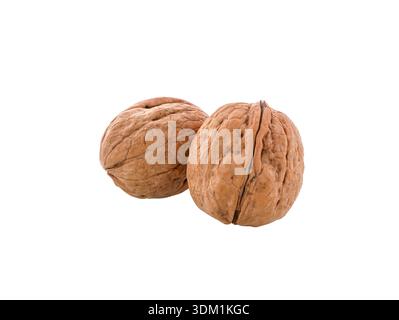 Nussbaum isoliert. Ungeschälte Walnüsse mit Schale auf weißem Hintergrund, mit Beschneidungspfad. Stockfoto