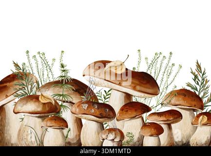 Wasserfarben Porcini Pilze Grenzen mit Waldpflanzen und Kopierraum Stockfoto