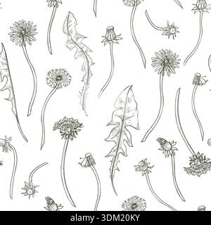Nahtloses Vektor-Muster mit handgezeichnetem Umriss Löwenzahn Blumen, Knospen, Blätter isoliert weiß. Botanisch wiederholtes monochromes Federdesign im Hintergrund Stock Vektor