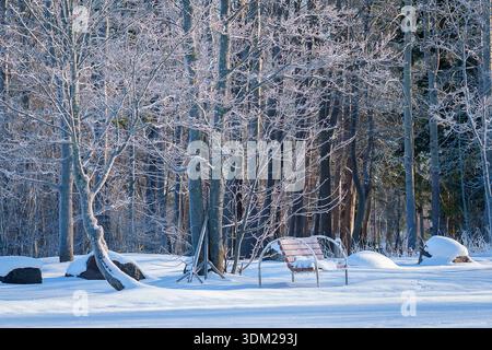 Schneebedeckte Parkbank in einem ruhigen Winterwald, umgeben von frostbedeckten Bäumen und Morgenlicht. Friedliche Winterlandschaft mit leerer Bank. Stockfoto