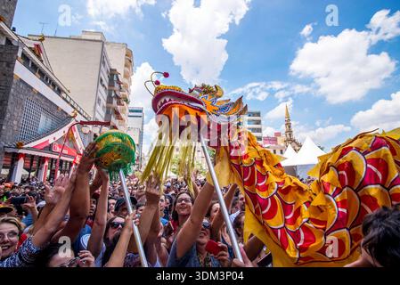 Chinesisches Mondneujahrsfest in Brasilien Brasilien, Sao Paulo - 31. Januar 2026: Der Drachen- und Löwentanz wird während der Feierlichkeiten zum chinesischen Mondneujahr, das das Jahr des Pferdes begrüßt, im Bezirk Liberdade in Sao Paulo, Brasilien, am 31. Januar 2026 aufgeführt. Sao Paulo Sao Paulo Brasilien Copyright: XCrisxFagax Stockfoto