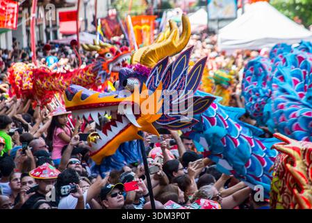 Chinesisches Mondneujahrsfest in Brasilien Brasilien, Sao Paulo - 31. Januar 2026: Der Drachen- und Löwentanz wird während der Feierlichkeiten zum chinesischen Mondneujahr, das das Jahr des Pferdes begrüßt, im Bezirk Liberdade in Sao Paulo, Brasilien, am 31. Januar 2026 aufgeführt. Sao Paulo Sao Paulo Brasilien Copyright: XCrisxFagax Stockfoto