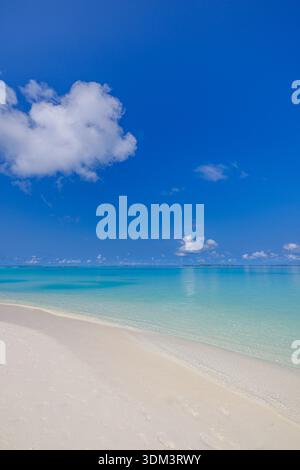Sonniger, tropischer Strand, vertikaler Blick mit Meereswellen und klarem blauem Himmel, ruhige Sommerferienszene Stockfoto