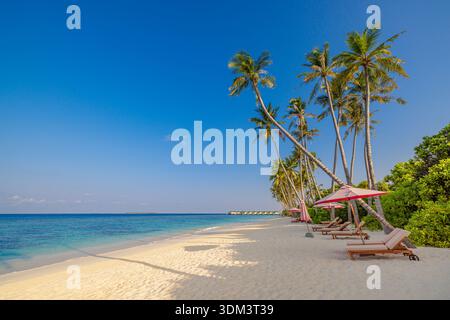 Luxuriöser tropischer Strand Sonnenliegen Sonnenschirme Palmen türkisfarbener Meerblick ruhige Insellandschaft Sommerurlaub Reiseziel malerisches Paradies Stockfoto