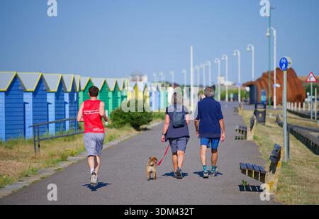 Joggen und Hundeschlitten an der Strandpromenade in Littlehampton, West Sussex, England, Großbritannien. Männlicher Jogger, Wanderhund. Stockfoto
