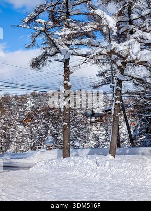 Sonniger Wintertag mit starken Schneebedeckungen von Bäumen und Straße in Nagano Stockfoto