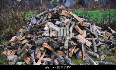 Brennholz entladen und auf einen Stapel werfen. Nahaufnahme. Stockfoto