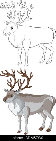 Eine Illustration des Rentiervektors mit Seitenprofil enthält eine schwarze Linienzeichnung und eine farbige Version Stock Vektor