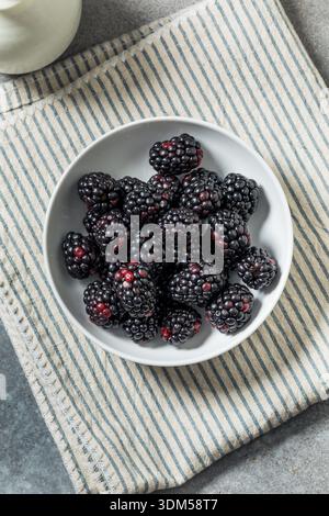Bio Raw erfrischende Brombeeren in einer Schüssel Stockfoto