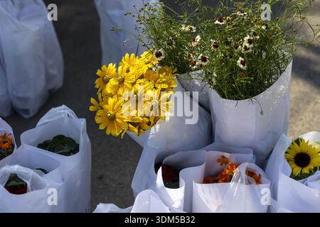 Fröhliche Präsentation von gelben Blumensträußen und frischen Wildblumen zum Verkauf auf einem Markt im Freien. Diese wunderschönen Blumenarrangements sind in weißen Taschen Stockfoto