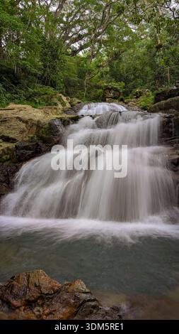 Diese vertikale Langzeitbelichtung zeigt einen atemberaubenden mehrstufigen Wasserfall, der tief in einen üppigen Regenwald von Fidschi eingebettet ist. Stockfoto