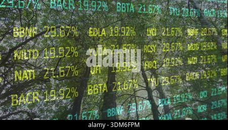 Mischung hoher Laubbäume und dichter Baumkronen in bewaldeten Wäldern mit durchscheinendem Ticker-Text Stockfoto