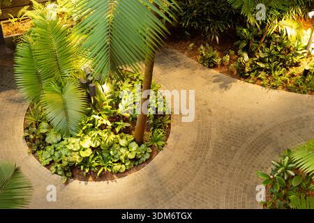 Ein Pfad führt durch einen Garten voller Pflanzen und Bäumen. Sonnenlicht hellt die Szene auf und zeigt grüne Blätter und Steinoberflächen. Dieses Set Stockfoto