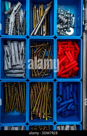 Schraub- und Ankerorganizer, farbige Schrauben und Wanddübel in einer Kunststoffbox mit Fächern, Handwerkzeuge von Zimmerleuten Stockfoto
