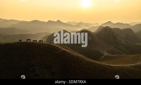Sonnenaufgang auf den hohen Berggipfeln der Gegend von Ha lang, mit Packpferden und Menschen, die zur Arbeit gehen. Foto aufgenommen in Ha lang, Cao Bang Stockfoto