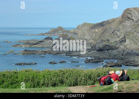 Küste mit Blick auf Lundy vom Hartland Quay auf dem South West Coast Path im Norden von Devon, England, Großbritannien. Sommer. Juni. Stockfoto