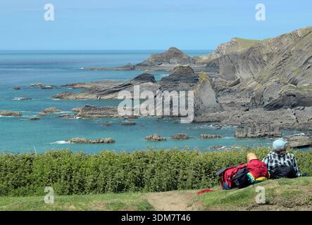 Küste mit Blick auf Lundy vom Hartland Quay auf dem South West Coast Path im Norden von Devon, England, Großbritannien. Sommer. Juni. Stockfoto