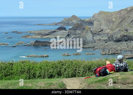 Küste mit Blick auf Lundy vom Hartland Quay auf dem South West Coast Path im Norden von Devon, England, Großbritannien. Sommer. Juni. Stockfoto