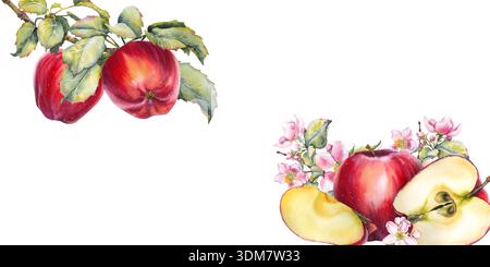 Aquarellbanner mit roten Äpfeln, Scheiben und Apfelblüten mit Blättern. Ideal für Bio-Lebensmittel- und Saftmarken, saisonale Werbung, Öko-Produkte Stockfoto