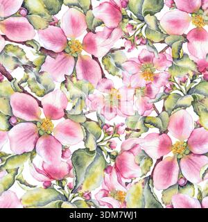 Aquarellillustration von rosa Apfelblüten mit grünen Blättern nahtlosem Muster auf weiß. Geeignet für Öko-Kosmetik, Blumenverpackungen, saisonalen BH Stockfoto