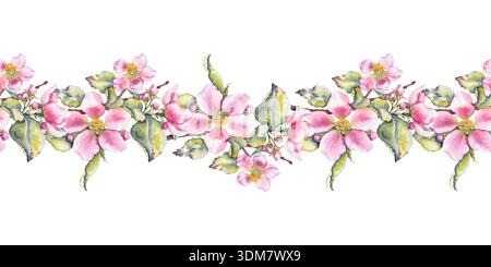 Aquarellillustration von rosafarbenen Apfelblüten mit grünem, nahtlosem Rand. Geeignet für Öko-Kosmetik, Blumenverpackungen, saisonales Branding, spr Stockfoto