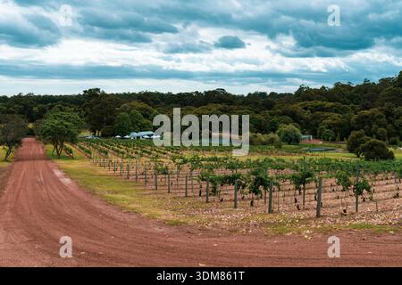 Margaret River Weinberg Landschaft mit rotem Feldweg Stockfoto