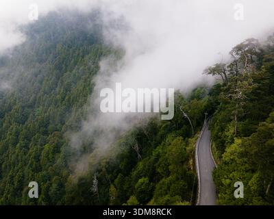 Luftaufnahme von niedrigen Wolken, die sich an einen üppigen grünen Berghang nahe Xiaoxueshan in Taiwan klammern, mit einer sich durch dichten Wald schlängelnden Straße Stockfoto