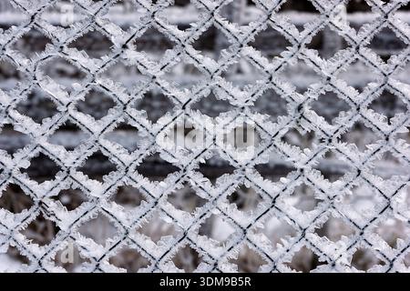 Ein komplizierter Gitterzaun, der mit zartem Frost bedeckt ist, funkelt im sanften Winterlicht und offenbart die Schönheit der kühlen Kunstfertigkeit der Natur. Stockfoto