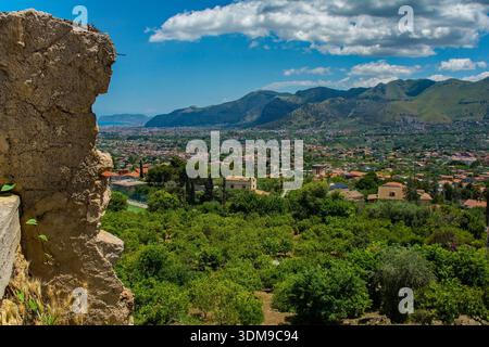 Ein Panoramablick aus der Altstadt von Ciambra von Monreale in Sizilien, Italien, mit Blick auf die Ebene von Conca d'Oro. Frühsommer. Grüne Agrarlandschaft Stockfoto
