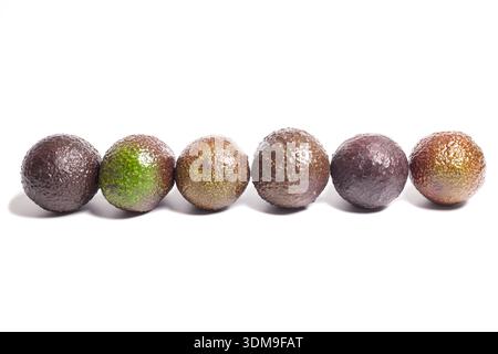 Frisch reife Avocados isoliert auf weiß Stockfoto