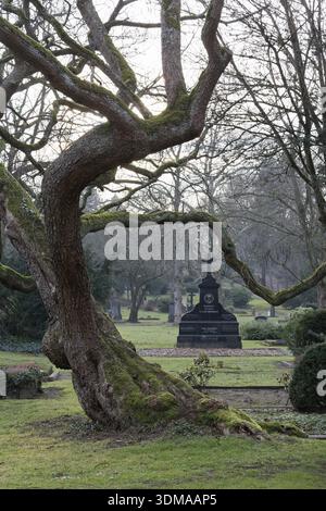 Gartendenkmal Duesseldorfer Nordfriedhof, parkähnliche Anlage, Düsseldorf, Nordrhein-Westfalen, Deutschland Stockfoto