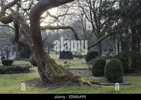 Gartendenkmal Duesseldorfer Nordfriedhof, parkähnliche Anlage, Düsseldorf, Nordrhein-Westfalen, Deutschland Stockfoto