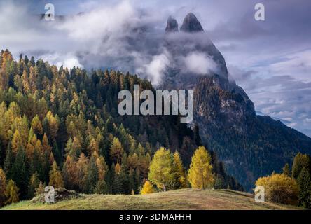 Der berühmte Gipfel der Punta Satner (2.413 m) im Herbst, Schlernmassiv, die Dolomiten, Südtirol, Italien Stockfoto