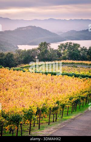 Blick aus der Vogelperspektive auf die Weinberge in den östlichen Hügeln des Napa Valley AVA mit Blick auf den Lake Hennessey Stausee bei Sonnenuntergang in Napa County, Kalifornien, USA. Stockfoto
