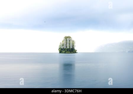 Suisse, 2024-09-05. Einsamer Baum mitten im Genfer See. Foto von Jean-Marc Vigneres. Stockfoto