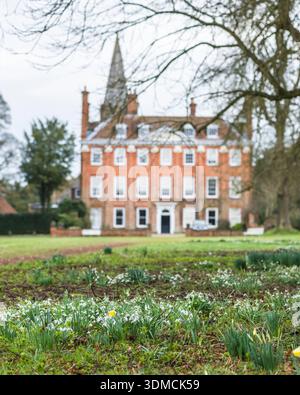 Schneeglöckchen blühen auf dem Gelände des Welford Park Anwesens, Berkshire Stockfoto